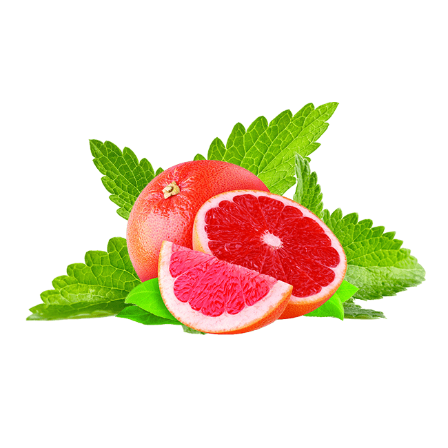 Hookafina Grapefruit Mint - Lavoo