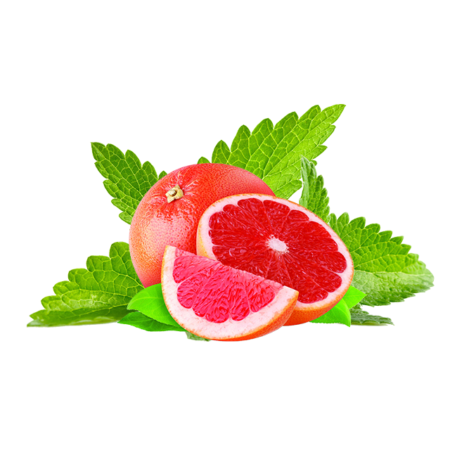 Hookafina Grapefruit Mint - Lavoo