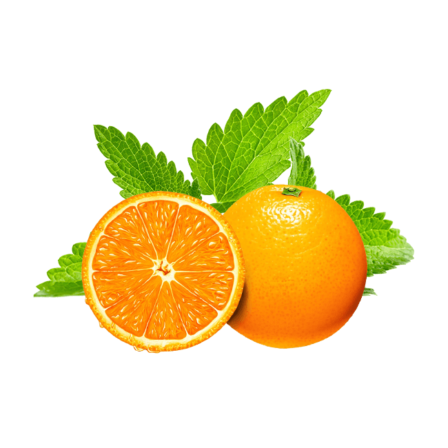 Hookafina Orange Mint - Lavoo